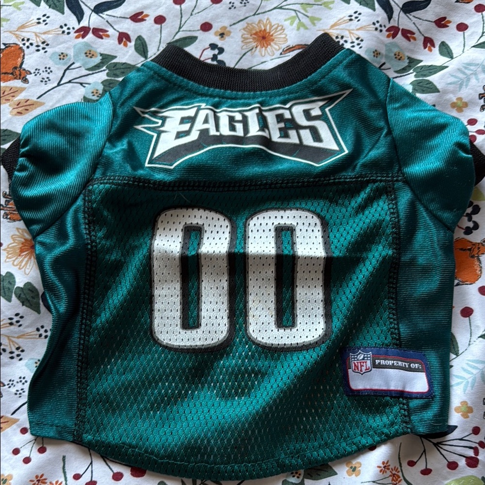 NFL Philadelphia Eagles Teal Pet Jersey